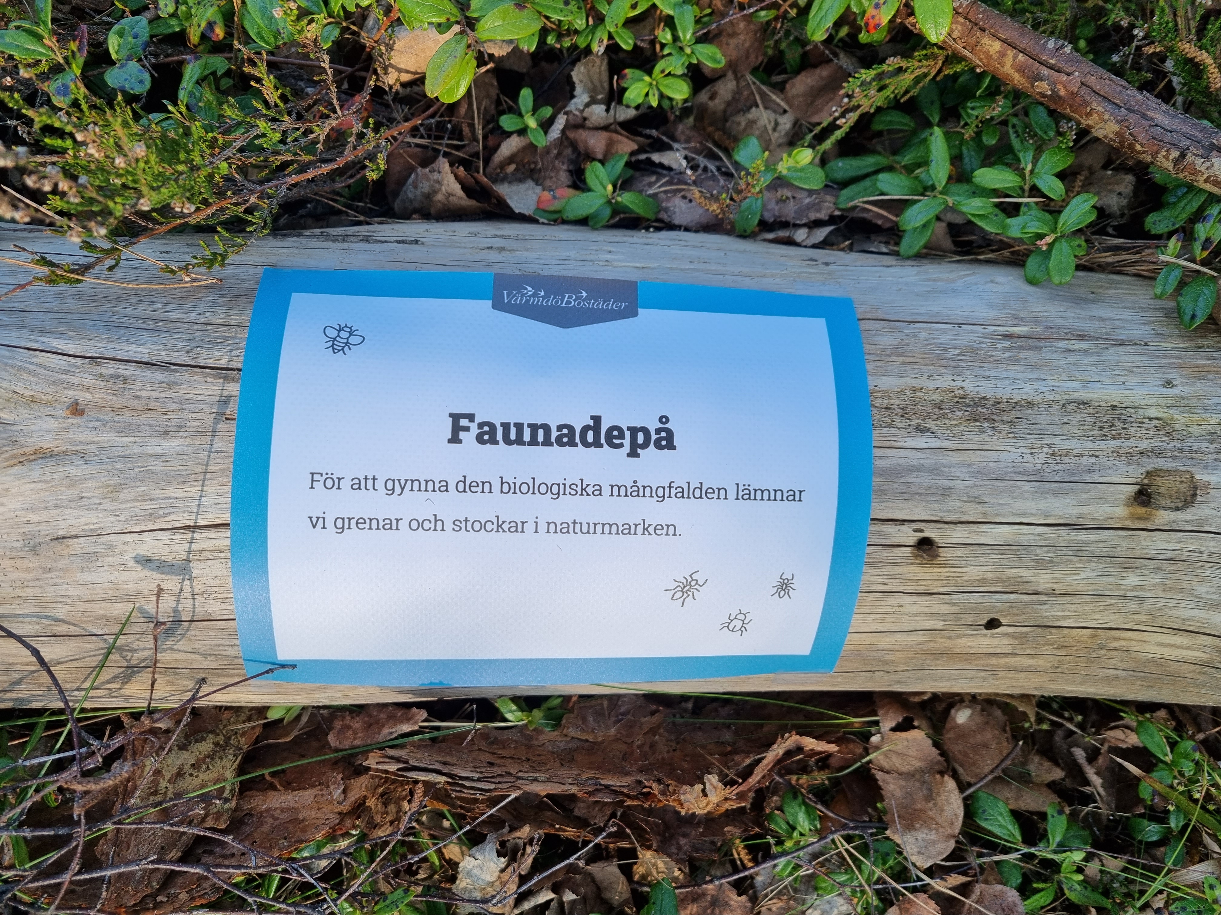 En stock med skylt från VärmdöBostäder där det står att vi lämnar ris och stubbar för att gynna biologisk mångfald