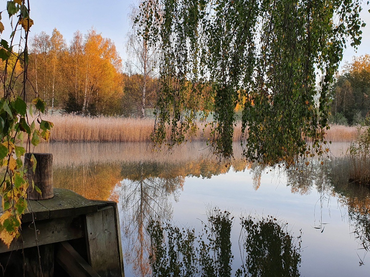 Bild på Kolström, Ingarö