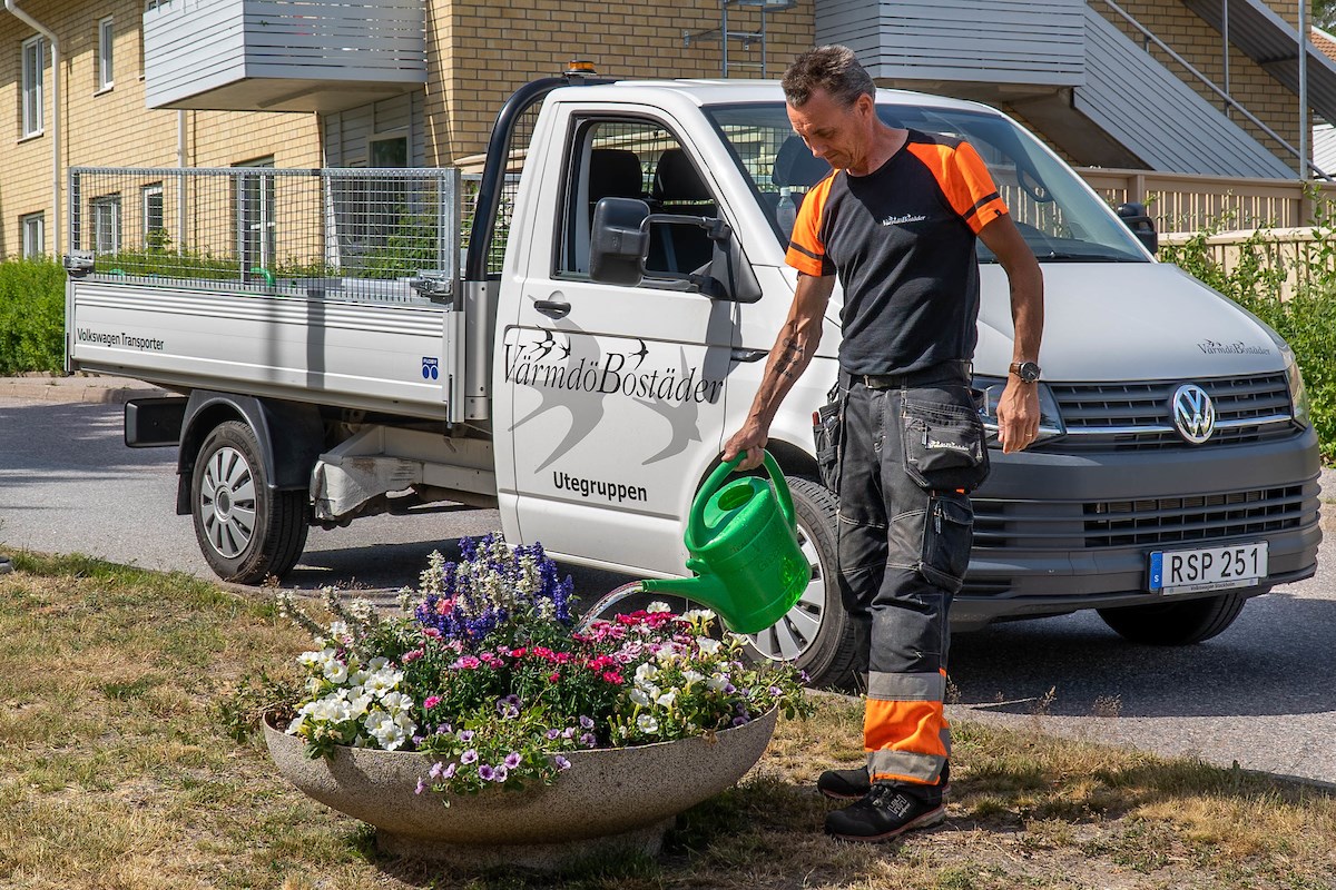 Anställd som vattnar blommor med kanna